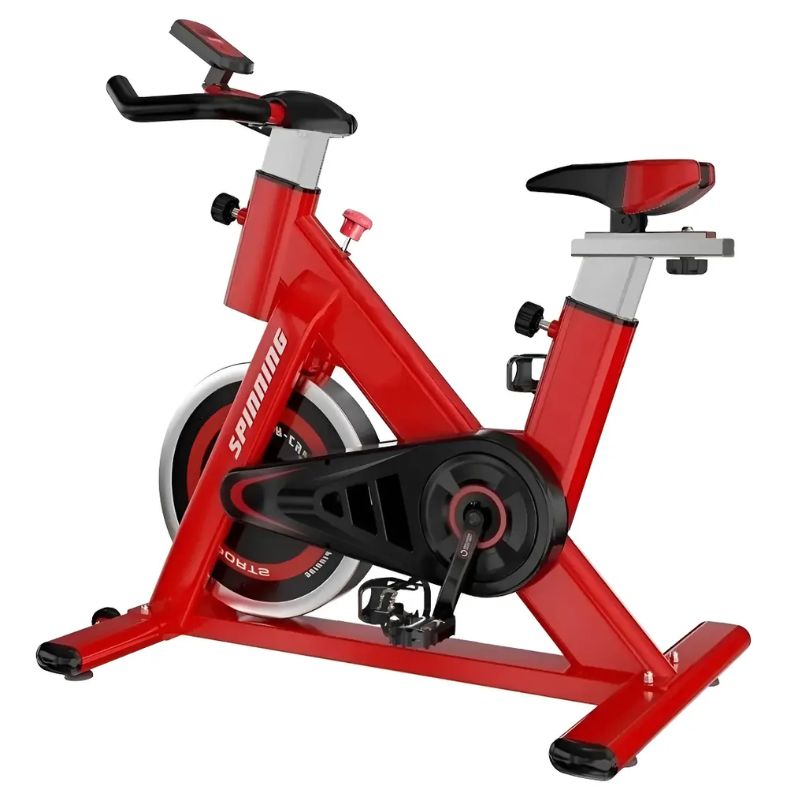 Bicicleta Ergométrica Spinning ByteTrade BTS-6301