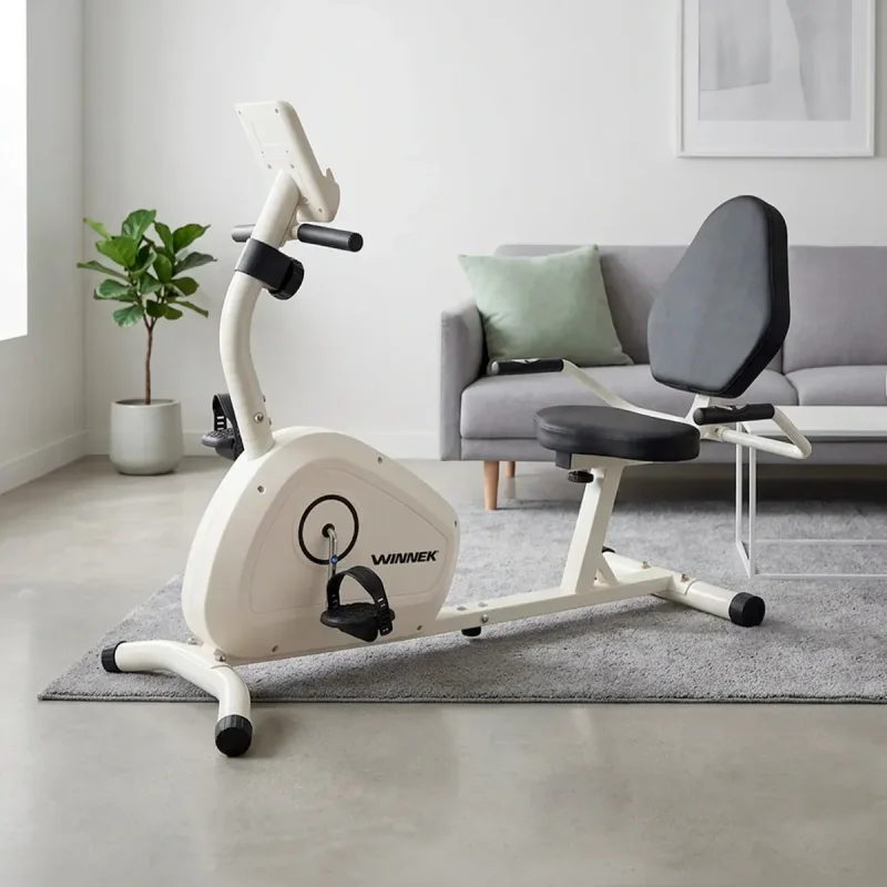 Bicicleta Ergometrica Horizontal Magnetica Winnek Branca